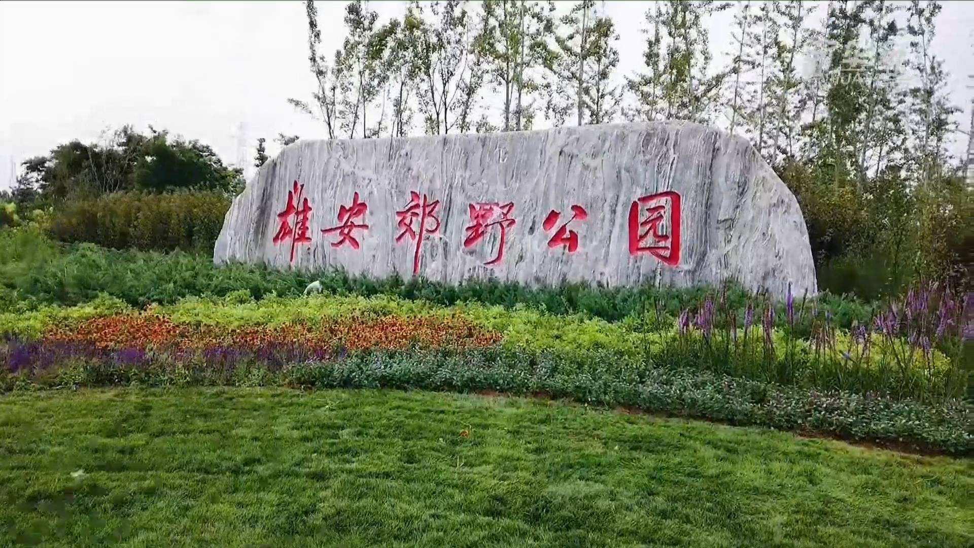 立博ladbrokes电气雄安郊外公园建设工程及配套设施项目